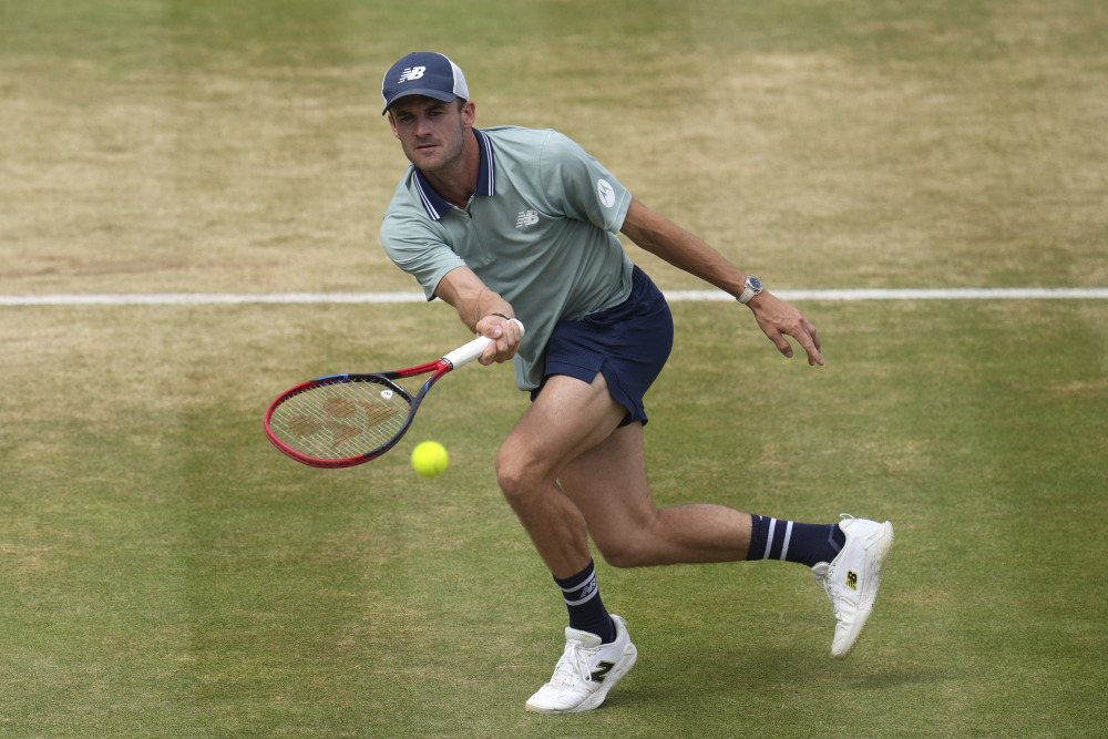 灰熊希望 灰熊希望