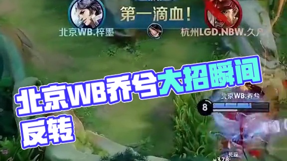 平衡球员健 平衡球员健